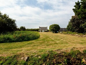 Wolke, Himmel, Pflanze, Blume, Natürliche Landschaft, Baum, Grundstueck, Gras, Haus, Einfach