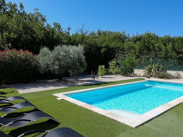 Planta, Agua, Cielo, Tiempo De Día, Verde, Azul, Sombra, Rectángulo, Hierba, Piscina