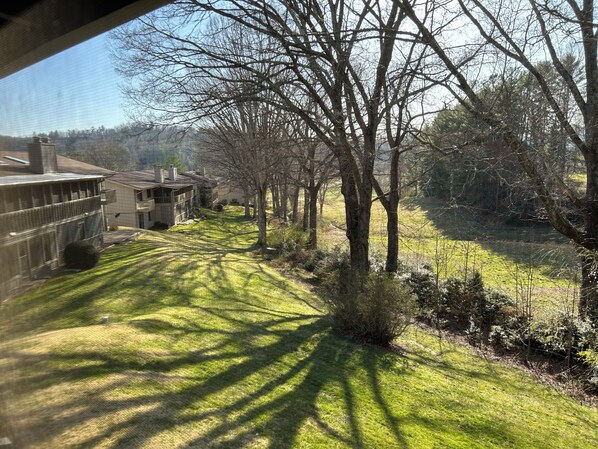 View from the screen porch