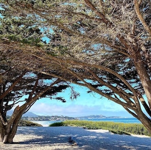 Carmel Beach