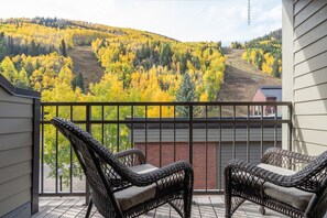 Sit back and relax, take in some of the best views in Telluride, this private deck is located off the primary suite.