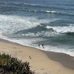 Eolian Dunes Preserve Sand City