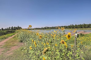 Kachina Wetlands Preserve | 0.9 Miles Away