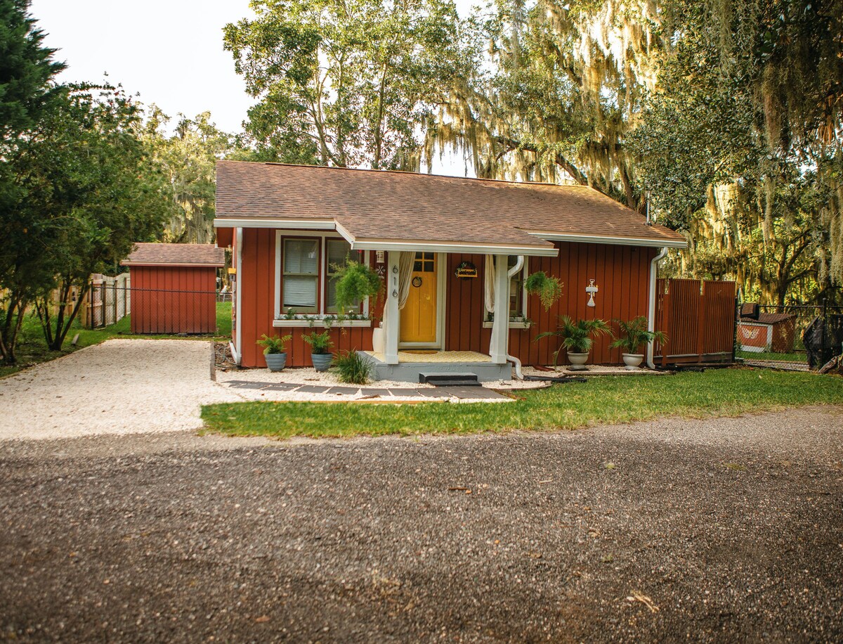 Main Image