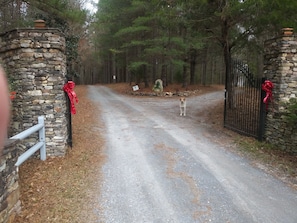 Property grounds