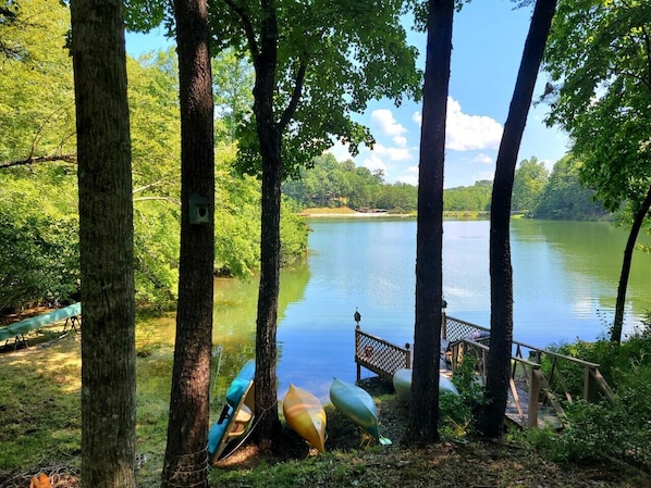 Back yard with private pier