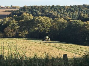 Terrain de l’hébergement 