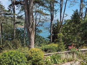 Magnificent views of the estuary  | Ringrone 3, Salcombe