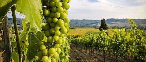 Εξωτερικός χώρος καταλύματος