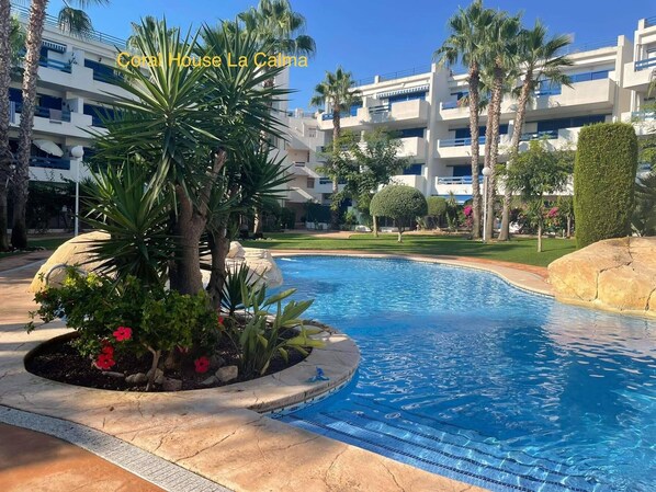 Big swimming pool with fantastic garden.