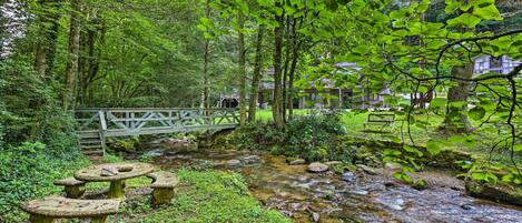 Roan Mountain Vacation Rental | 3BR | 1.5BA | 1,000 Sq Ft | Steps Required