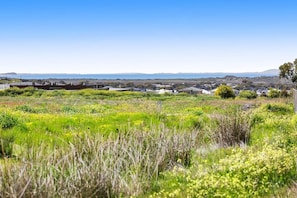 From the boundary fence, you can catch a glimpse of the ocean and Point Lonsdale lighthouse, adding a coastal charm to your stay