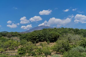 Oklassificerad bild, 5 av 16, knapp