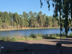 View from front porch