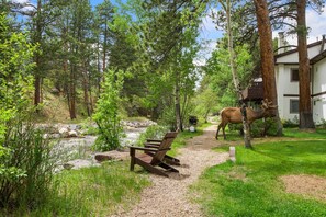 Experience Wildlife