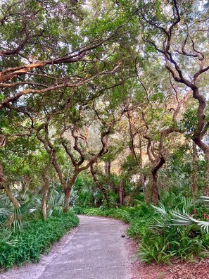 Walking paths