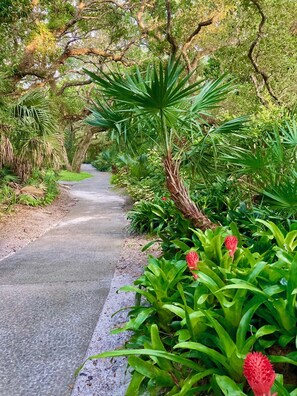 Walking paths