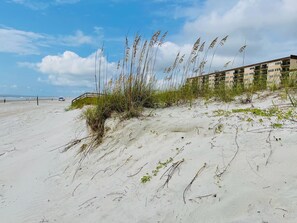 Fabulous Florida day!
