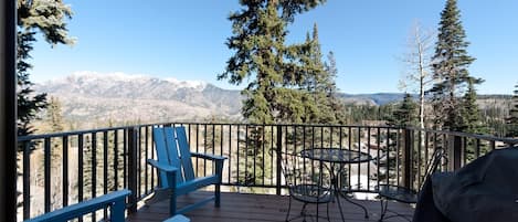 Private Deck with BBQ Grill and amazing views of the Needles Range