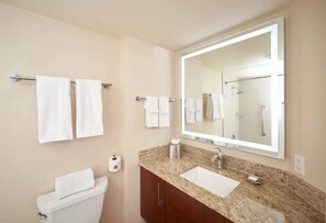 laslv-hi-res-studio-bathroom