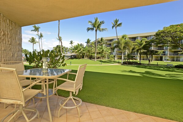Lanai View