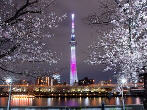 ・Across the Sumida River, the view from the Sumida Park Sakura Plaza (about 12 minutes on foot)