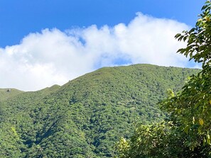 ・ Fukai Omotodake seen from the terrace is a power spot that is valued by the locals.