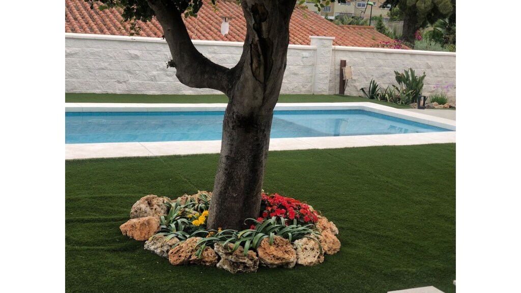 Picture of villa