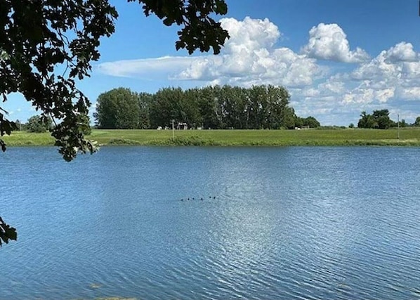 Järvi
