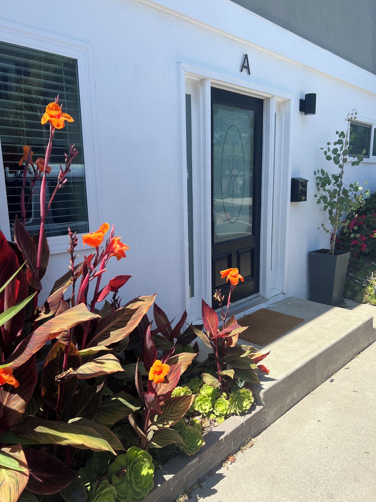 Newly renovated stylish beach flat steps to the beach