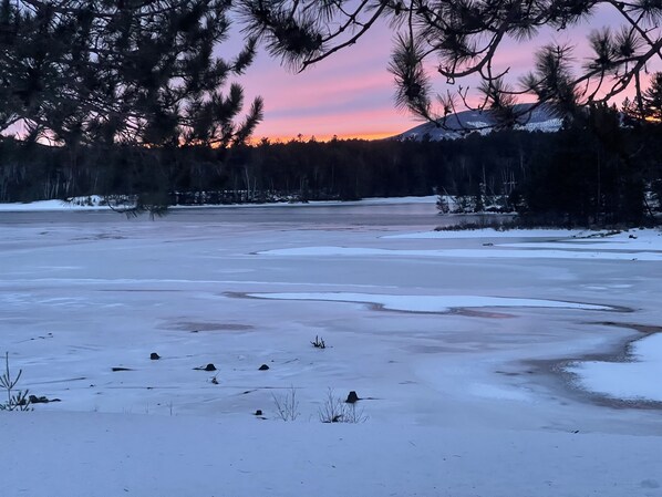 View from the living room
