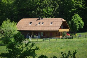 Picture 3