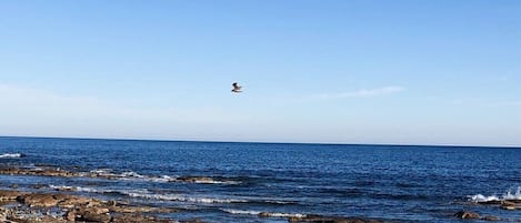 Plage à proximité 