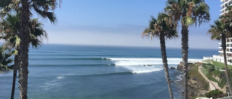 Overview of the surf break at k38.5