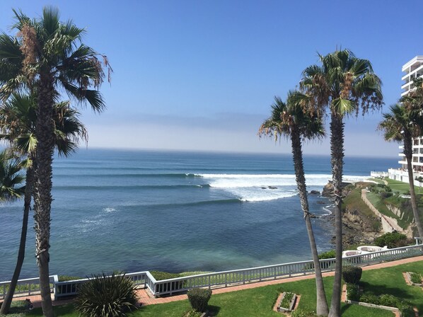 Overview of the surf break at k38.5