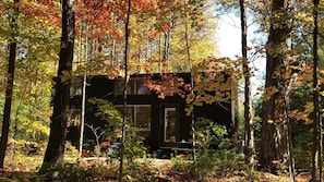 the house in autumn