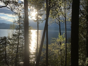 lake view in the spring
