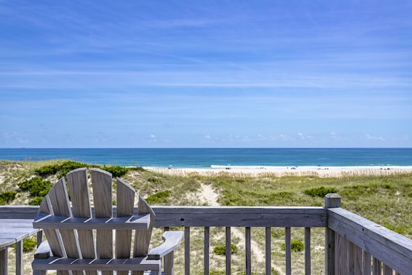 Get lost in the sea and do some dolphin watching!