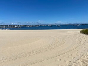 Private beach after grooming