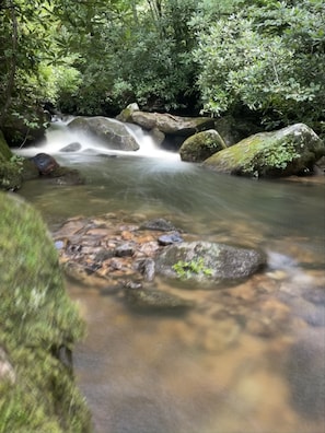 Located behind the lodge is bold, rushing Fowler Creek. 