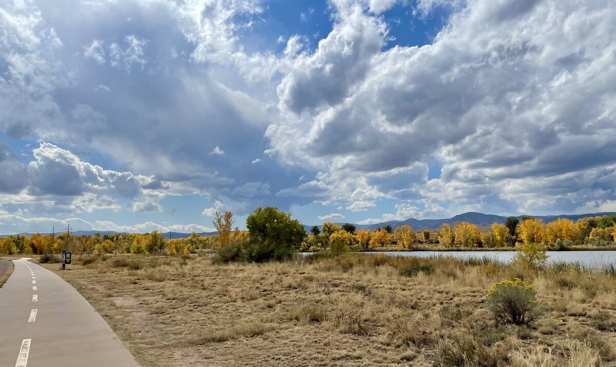 Luxury Rowhome   Mountain Views Littleton Main St