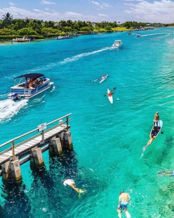 Nearby World Class Snorkeling & Diving
