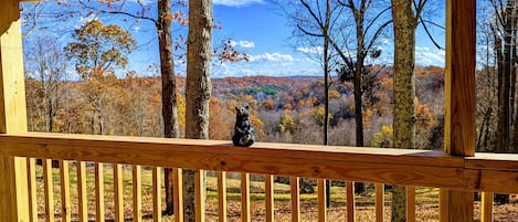 Beautiful view from the back deck!