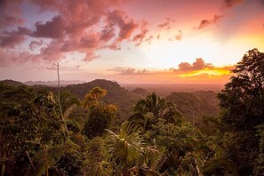 Copal Tree Lodge Canopy View_0