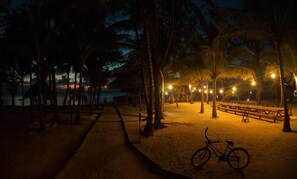 Thatch Caye Grove Night_0