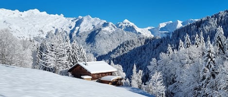 Esportes de neve e esqui