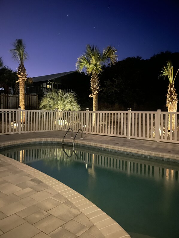 Backyard “oasis” with newly planted palm trees and lighting.