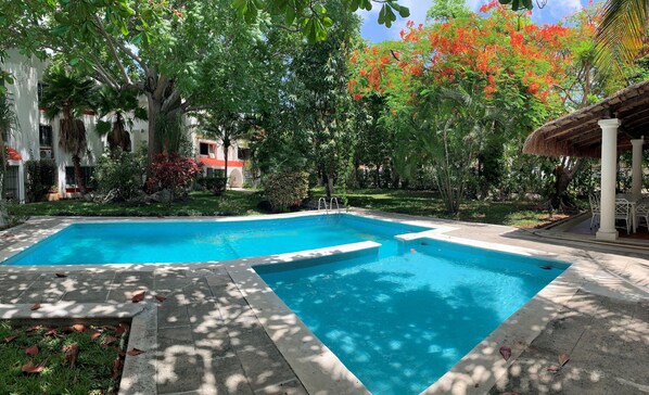 Pool & garden