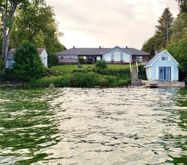 Exteriör