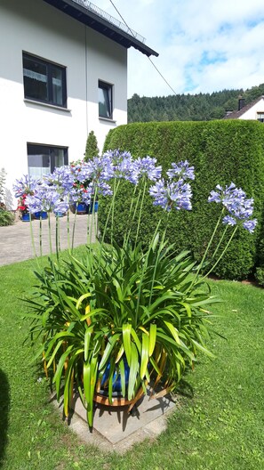 Terrain de l’hébergement 